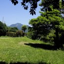 상록수집 이미지