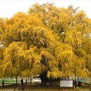 은행약수터 이미지