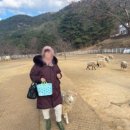 행여나목장 네이버블로그