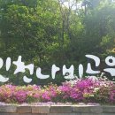 부평숲 인천나비공원 전시실 이미지