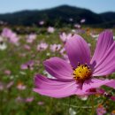 문희아트홀 이미지