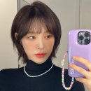 셰이크로그 이미지