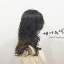 자르헤어 네이버블로그