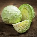 소묘수채화 이미지