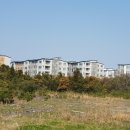 김수미공인중개사사무소 이미지