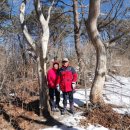 대덕초교 이미지