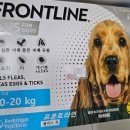 서정온누리약국 이미지