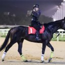 더모아코리아 이미지