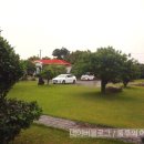 이디살래 | &lt;제주도 가족여행&gt; 산방산 옆 전원주택 같은 펜션 ‘이디살래’ 내부와 외부 리뷰