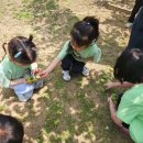 바다유치원 이미지