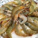 현주네수산 | 보령 맛집 횟집 대천항 수산시장 녹도수산 새우 포장 후기