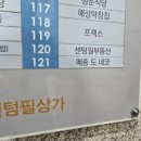 메종드센텀 | 서면 근처 부산고양이분양 편하게 상담받은 메종 드 네코 센텀본점 방문기