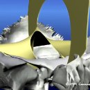 CST 해부학 (craniosacral movement &amp; falx) 이미지