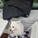 라이크멍 이미지