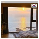 휘게호텔 | 제주 감성 숙소 추천 산방산 근처 돌고래 보이는 제주도 여행 휘게호텔