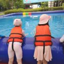 송파안전체험교육관 | 송파안전체험교육관 생존수영 후기(주차, 예약)