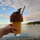 바다네농장 | 영종도 바다앞 농장 ☕️카페 후기❤️❤️