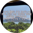 웰워싱