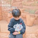 박상진8로L | 울산 아이랑 가볼만한곳 추천 비 오는 날에도 좋은 실내동물카페 헬로우쥬 솔직후기
