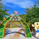 삼척미로정원 이미지