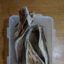 진도 맛코다리 이미지
