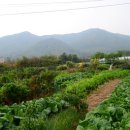 초월읍-10 이미지