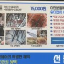 옥길장터남성헤어