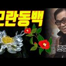 조영남의 "모란동백" 이미지