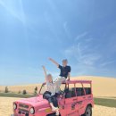 내산A목장 | 내돈내산 나트랑 판랑 사막투어 패키지가 아닌 찐 후기! 1탄 (투어시간 꿀팁 등)