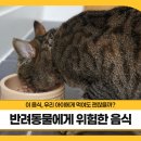 영주동물병원 이미지