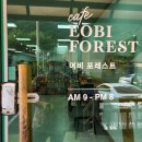 어비 포레스트 이미지