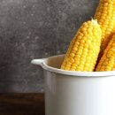 초당농장 이미지