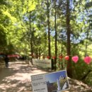 금산그때그집식당 | 남해 가볼만한 곳 <금산 보리암> 등산 난이도 솔직 후기, 주차 &amp; 입장료 정보