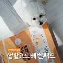 아지발바닥 | 생활코드 강아지배변패드 추천 | 무향배변패드 100매 솔직후기