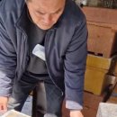 (주)포레스트바이오 이미지