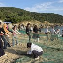 두미남구어촌체험휴양마을 이미지