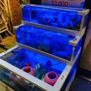 바다나라 이미지