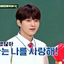 꼬기나랑 이미지