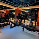 렛츠피티 이미지