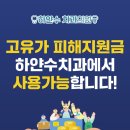 하얀수치과의원 네이버블로그