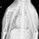 삼화 우수한동물병원 이미지