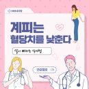 계피는 혈당치를 낮춘다는데 그럼 시나몬은? 계피와 시나몬의 차이와 효능과 부작용 총정리