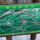 산철죽 군락지 이미지