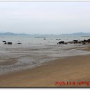 남파랑길 이미지