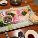 나무타는고양이 구경하는강아지 이미지