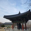 두부사랑 이미지