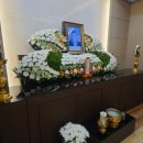 세종병원화장실 이미지