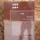 사은정 | 용인 사은정