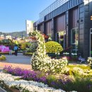 예산-29 | 가을 꽃 축제 추천 | 예산 삼국축제 국화 전시회 관람 후기