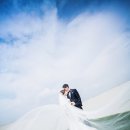 스튜디오84 이미지